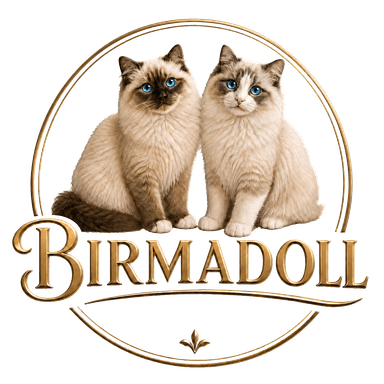 Birmadoll logo